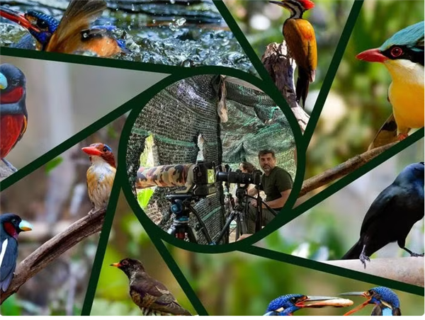 Huê figure parmi les meilleures destinations ornithologiques au monde