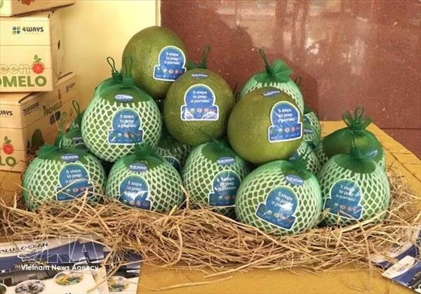 Dong Thap exports first pomelo shipment to Australia