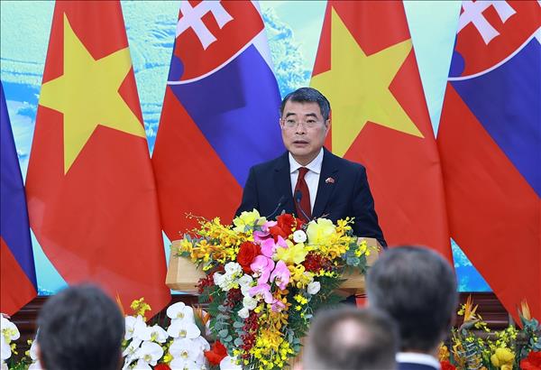 ベトナムとスロバキア 関係を戦略的パートナーシップに格上げ