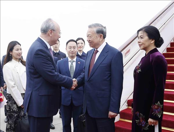 베-중 포괄적 전략적 협력 동반자 관계에 새 이정표