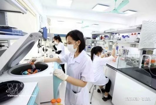 Provincia vietnamita acelera transformación digital para impulsar el crecimiento