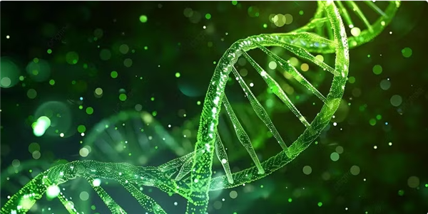 Des scientifiques vietnamiens identifient les mutations génétiques de maladies rares