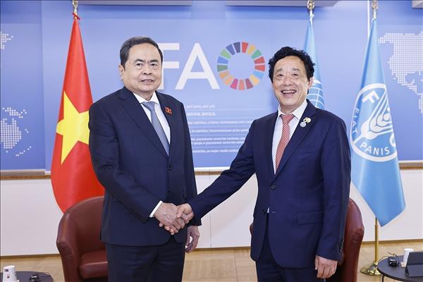Vietnam views FAO as leading partner in agricultural, rural development: NA Chairman
