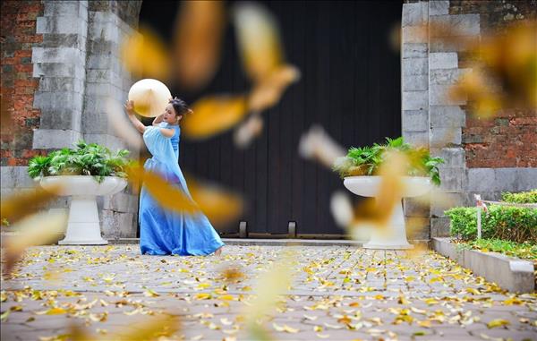 Hanoi adopts action programme on cultural development