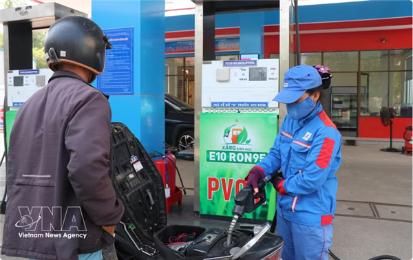 Planta de biocombustibles de Dung Quat operará a plena capacidad en abril