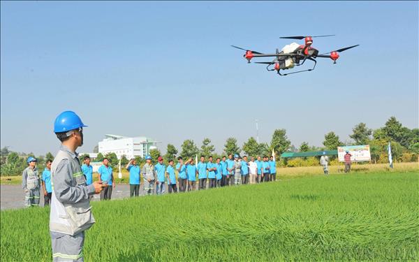 Proponen tres ejes para impulsar desarrollo de productos tecnológicos estratégicos en Vietnam