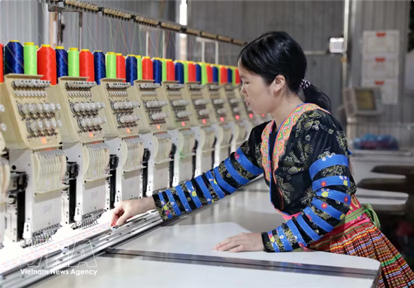 Fondos nacionales impulsan ingresos y desarrollo rural en Vietnam