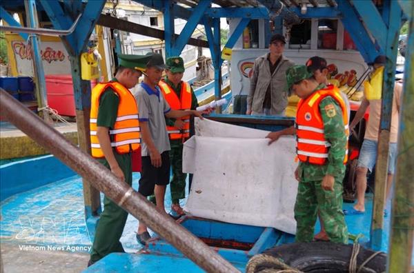 Dong Thap steps up digital vessel management, strengthens traceability