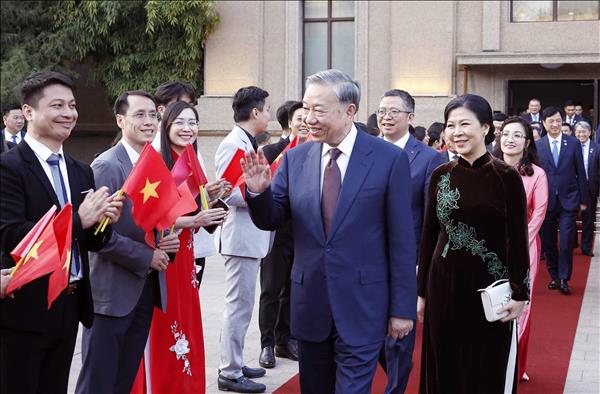 Top leader meets Vietnamese diplomatic staff, community in China