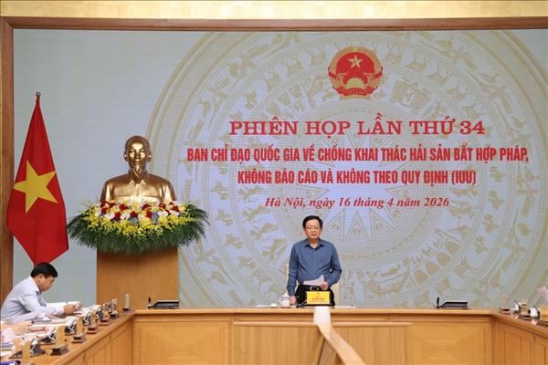 ເພີ່ມທະວີການກວດກາ, ກະຕຸກຊຸກຍູ້, ຕັດສິນໃຈແກ້ໄຂບັດເຫຼືອງ ອີຊີ