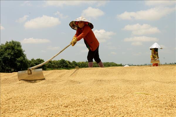 베트남, 지속가능 항공유(SAF) 생산 잠재력 상위 국가 진입