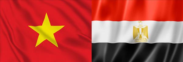 Вьетнам и Египет усиливают сотрудничество в области химической промышленности и удобрений