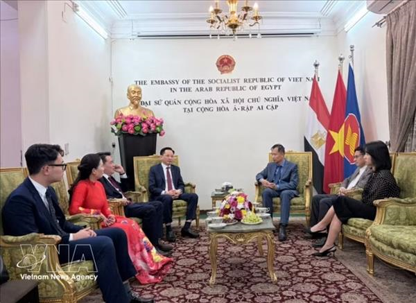 越南与埃及加强化肥和化工领域合作