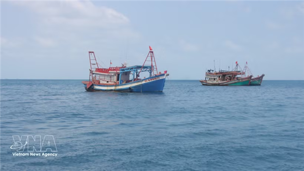 Provincia vietnamita impulsa medidas para frenar la pesca ilegal