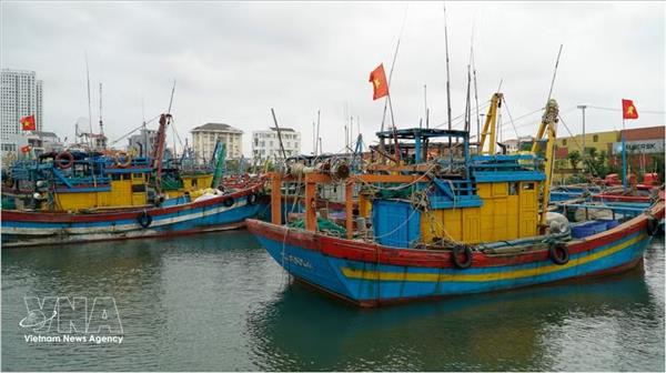 Gia Lai shifts towards reduced fishing, high-tech aquaculture development