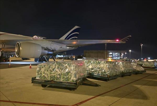 Gần 100 tấn rau quả Việt chinh phục thị trường UAE