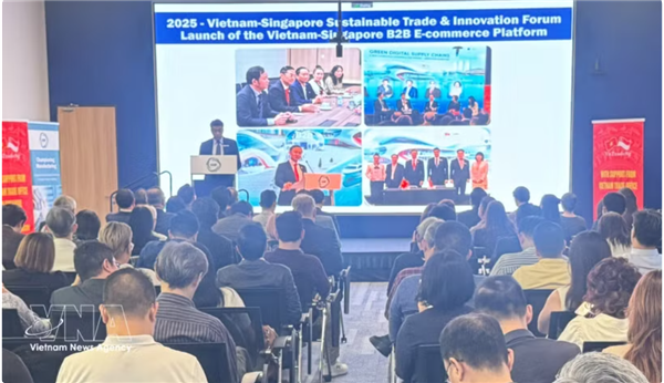 Un programme de connexion dentreprises Vietnam–Singapour