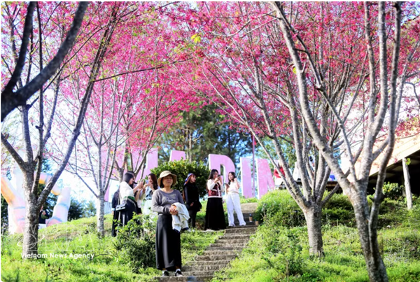 Le Vietnam confirme son attractivité touristique avec une forte croissance au premier trimestre