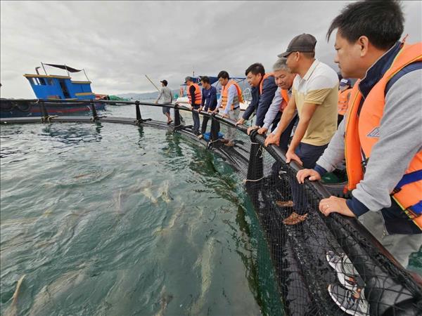 Khánh Hòa phát huy lợi thế kinh tế biển