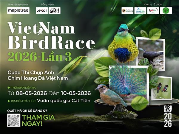 Запуск международного фотособытия Vietnam BirdRace 2026