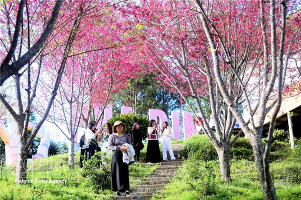 4·30假期：越南游客优化预算注重真实体验