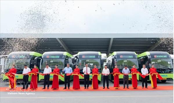 Hanoi accelerates shift to green buses, targets 100% by 2030