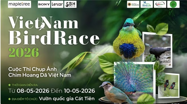 Lancement de lévénement photographique international Vietnam BirdRace 2026
