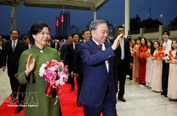 China–Vietnam cooperation reaching new heights: Chinese expert