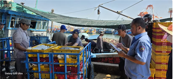 Pêche durable : le Centre du Vietnam mise sur le numérique et linnovation