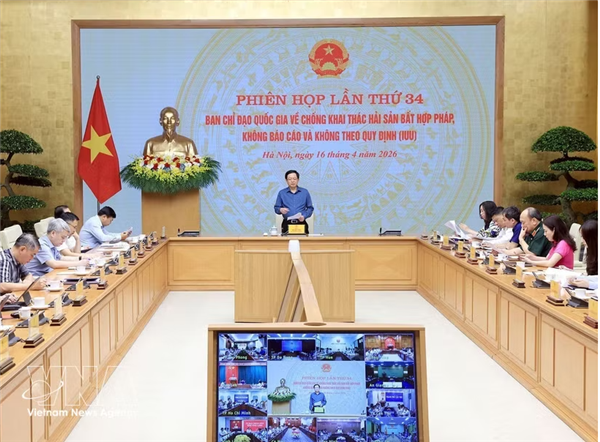 INN : renforcer les responsabilités et les contrôles pour lever le carton jaune de la Commission européenne