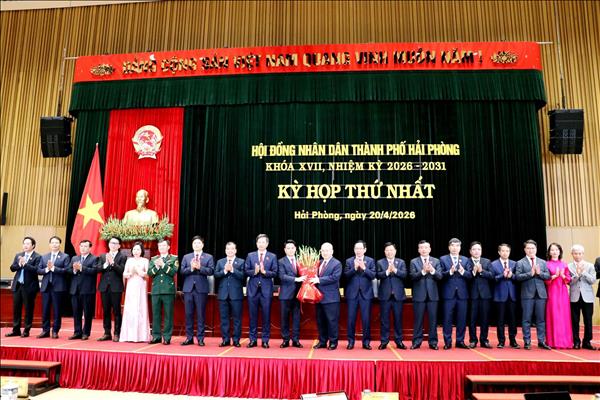 Hải Phòng bầu, kiện toàn các chức danh chủ chốt của hệ thống chính trị