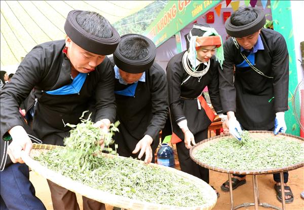 Giữ lửa Shan tuyết, mở đường du lịch Cao Bồ