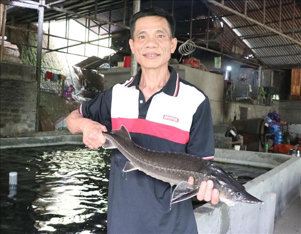 Đồng bào Dao dưới chân dãy Tây Côn Lĩnh vươn lên thoát nghèo