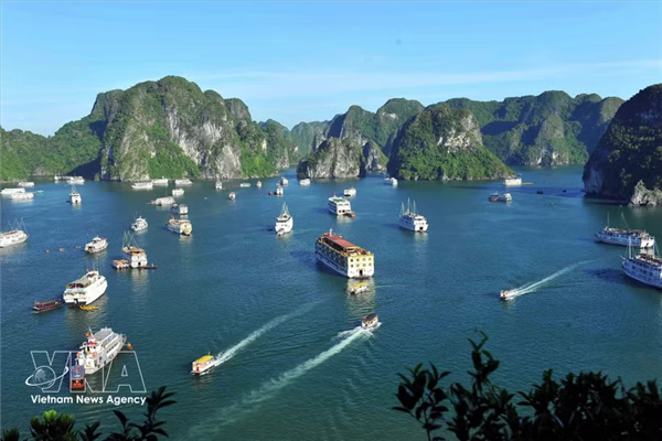 越南在中国开展旅游促进活动 精准发力吸引高消费客群