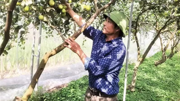 과학기술 덕에 농업 생산 쑥...체계적 지원도 필요