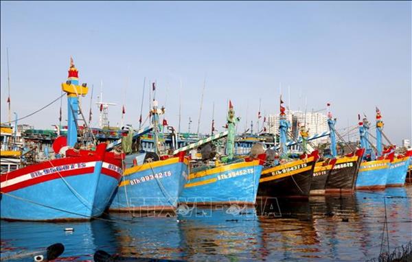 ラムドン省、IUU対策で省庁横断の作業部会を設置