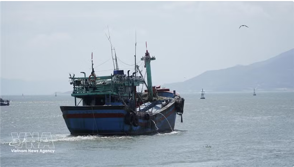 Quang Ninh vise une traçabilité numérique complète des navires de pêche dici le deuxième trimestre