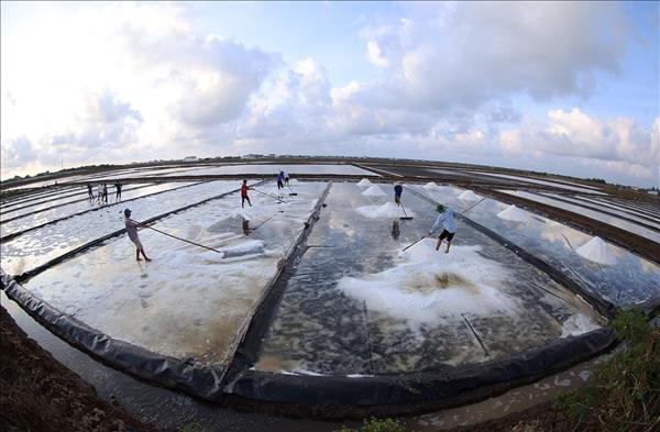 Cà Mau nâng tầm chất lượng sản phẩm OCOP