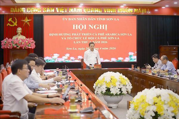 Sơn La định hướng xây dựng cà phê Arabica thành ngành hàng chủ lực