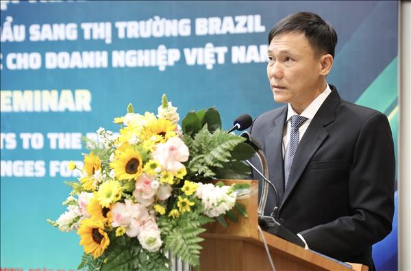 Brazil - điểm đến tiềm năng cho hàng Việt