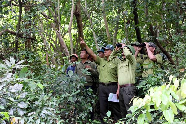 La protection des forêts du Parc national de Phong Nha–Ke Bang passe par laction de terrain