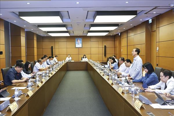 Kỳ họp thứ Nhất, Quốc hội khóa XVI: Điều chỉnh kịp thời chính sách thuế để hỗ trợ hộ kinh doanh