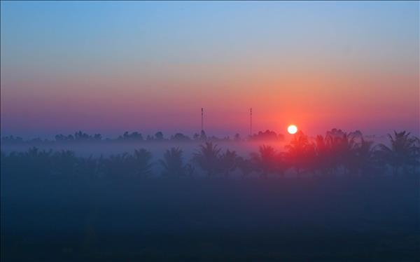 A Romantic Glimpse into Can Thos Countryside