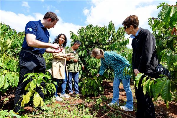 2026 베트남 스페셜티 커피 시상식: 럼동성 업체 대거 수상