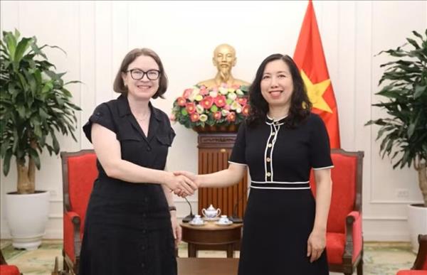Vietnam, Ireland seek ways to step up bilateral cooperation
