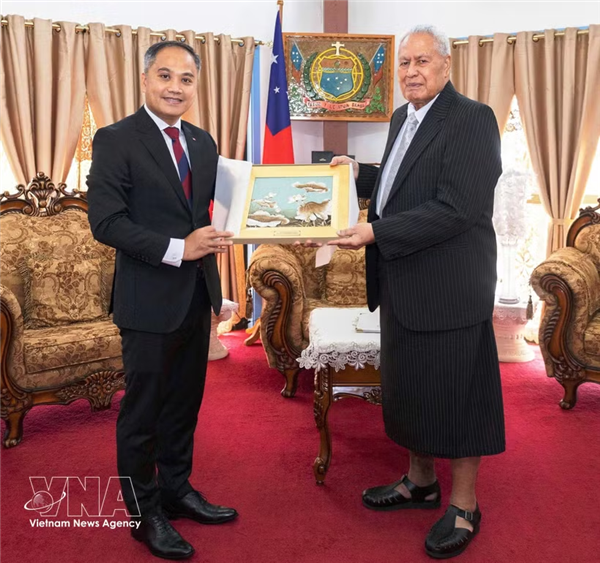 推动越南与南太平洋各国的合作