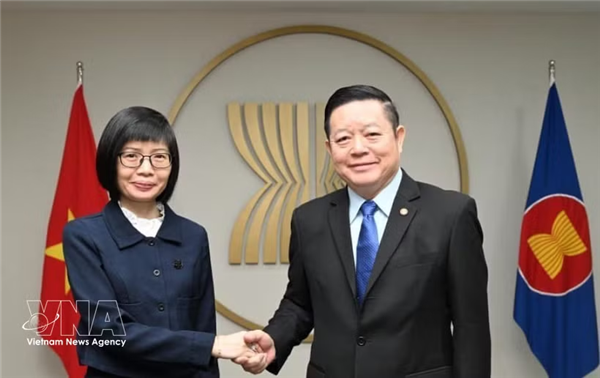 东盟秘书长高金洪：东盟随时准备与越南协调、支持与合作