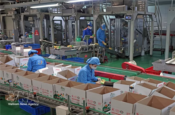 Sinergia entre sectores público y privado impulsa crecimiento de Ciudad Ho Chi Minh