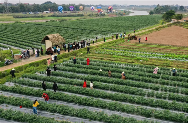 Échappée belle à Da Phuc, bucolique alternative à Hanoi
