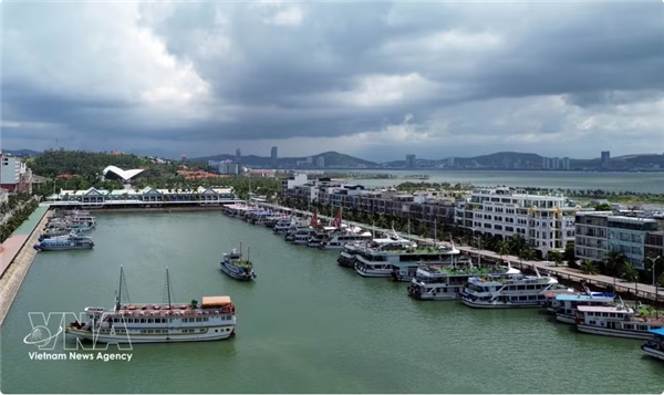 Le gouvernement va élaborer un plan de conservation à long terme de la baie de Ha Long